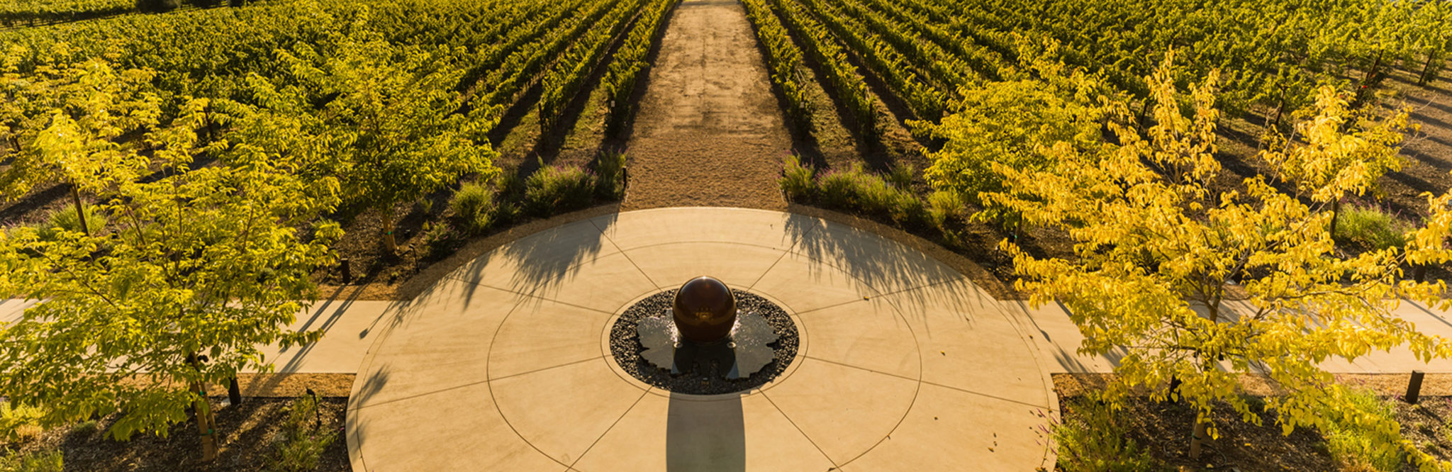 Napa Valley Vineyards Calistoga Winery Davis Estates