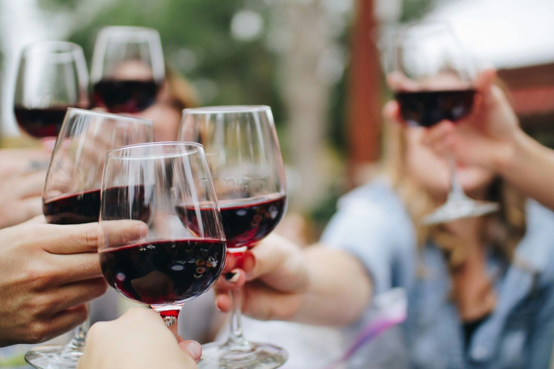 A group of people clinking glasses of red wine in a celebratory toast, with blurred background foliage, emphasizing a joyful outdoor gathering.