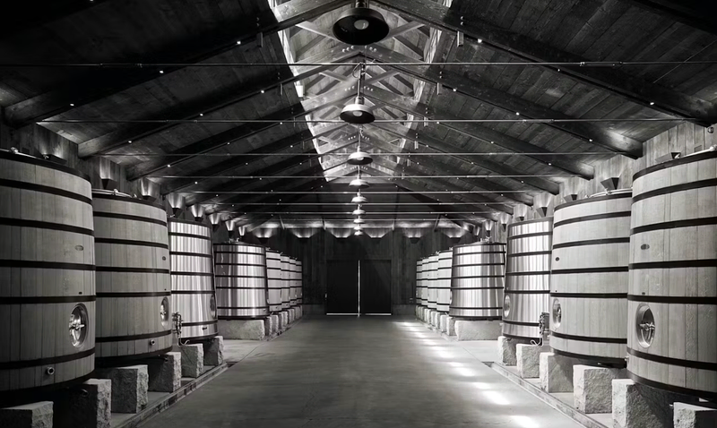  A spacious wine cellar featuring large wooden barrels lined up symmetrically on both sides, illuminated by soft overhead lighting, creating a clean and industrial look.