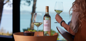 A bottle and glasses of Hall white wine with a person enjoying the view.