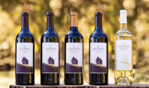 Five wine bottles displayed outdoors with a blurred natural background.