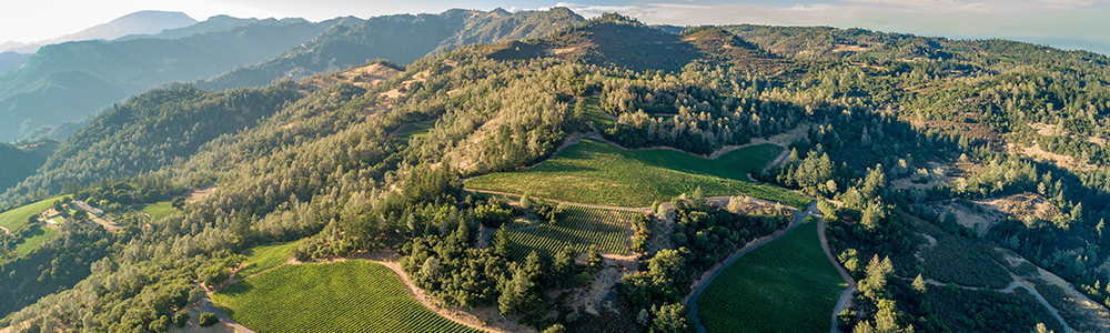 Aerial view of rolling vineyards and lush hills at Davis Estates.