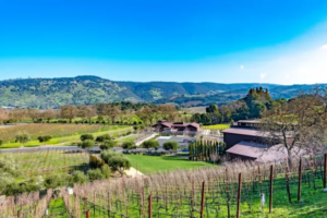 Davis Estates with vineyards and scenic rolling hills.