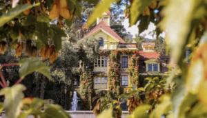 Ivy-covered building with a fountain, framed by lush foliage.