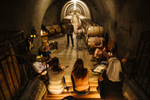 Group tour inside an underground wine cellar with barrel storage.